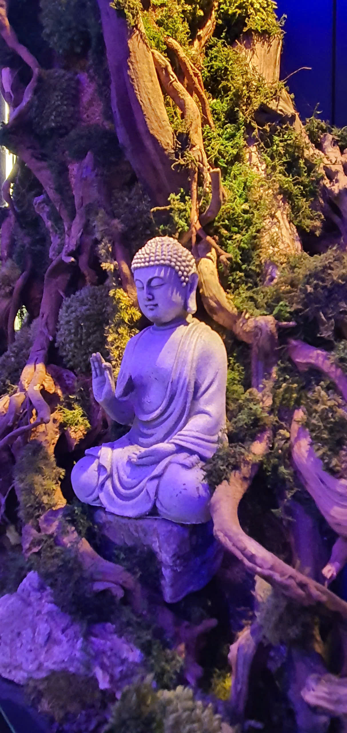 lap-den-led-chu-neon-trang-tri-va-quang-cao-hieu-qua